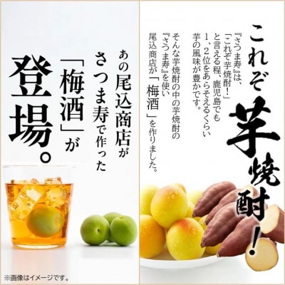 尾込商店「さつま寿 梅酒」720ml×1本