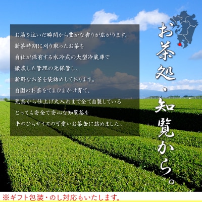 【お歳暮に】片野坂製茶 知覧茶煎茶なつめ缶ギフト