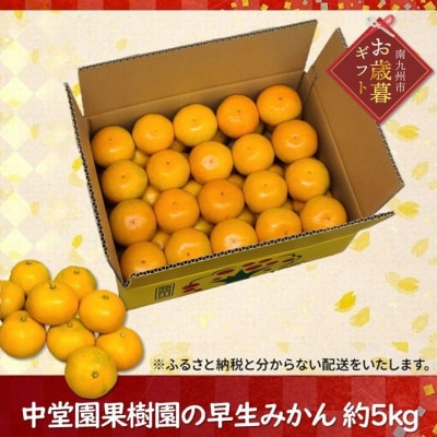 【お歳暮に】中堂園果樹園の早生みかん