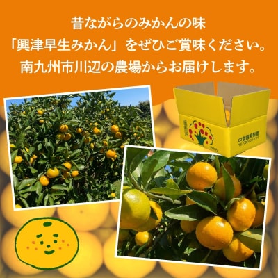 【お歳暮に】中堂園果樹園の早生みかん