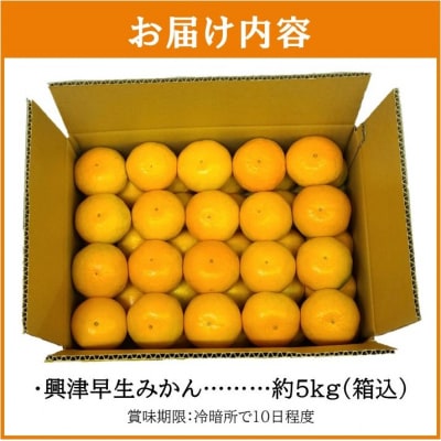 【お歳暮に】中堂園果樹園の早生みかん