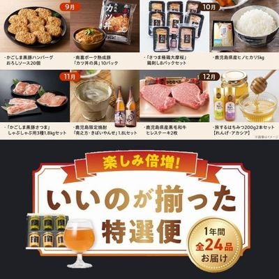 【年内決済限定】楽しみ倍増!いいのが揃った特選便