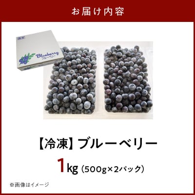 冷凍ブルーベリー1kg