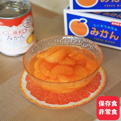 小原紅みかん缶詰 12缶セット