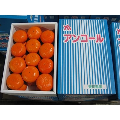アンコールオレンジ　約5kg
