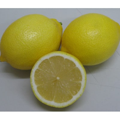 瀬戸内レモン　約3kg