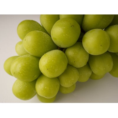 【出荷量増大記念・感謝企画】シャインマスカット　約800g以上(1～2房)