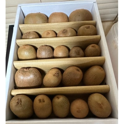 小さくて可愛らしいキウイ　さぬきキウイっこ　約800g