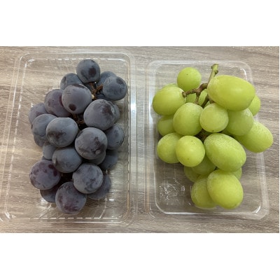 【満足セット】シャインマスカット+ピオーネ　パック食べ比べセット　約2.4kg以上(各3～5パック)