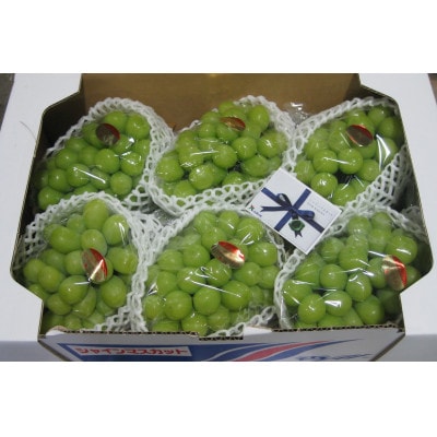 ハウスシャインマスカット　どどーんと 約5kg