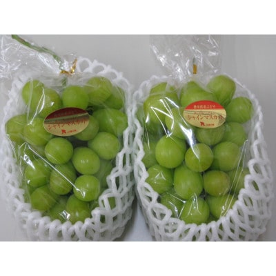 ご家庭用シャインマスカット　どどーんと 約5kg