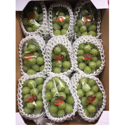 【8月31日(夏休み)までの期間限定企画!!】シャインマスカット　ずっしり　約4.9kg