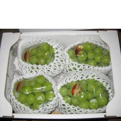 【8月31日(夏休み)までの期間限定企画!!】シャインマスカット　約1.9kg