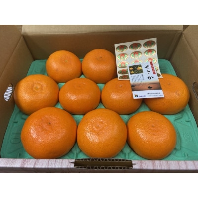 【発送月固定定期便】三豊市特選こだわりフルーツ(せとか+シャインマスカット)全2回