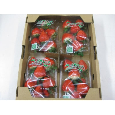 【発送月固定定期便】三豊市特選こだわりフルーツ(いちご+シャインマスカット)全2回