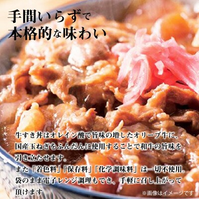 オリーブ牛 ハンバーグ20袋・牛すき丼10袋セット