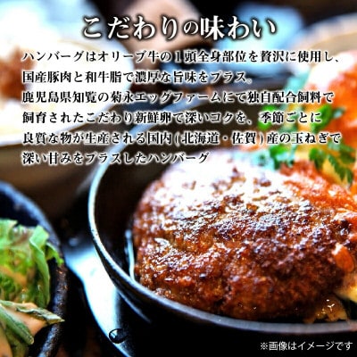 オリーブ牛切り落とし500g&ハンバーグ8枚セット