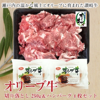 オリーブ牛切り落とし250g&ハンバーグ4枚セット
