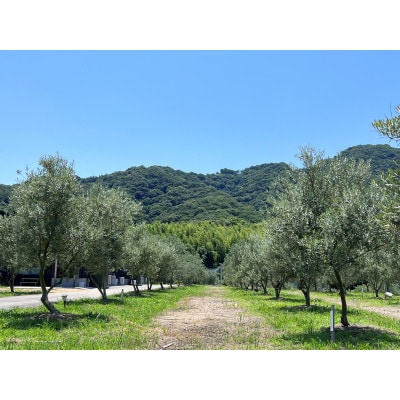 【栽培期間中農薬不使用】エキストラバージンオリーブオイル　228g