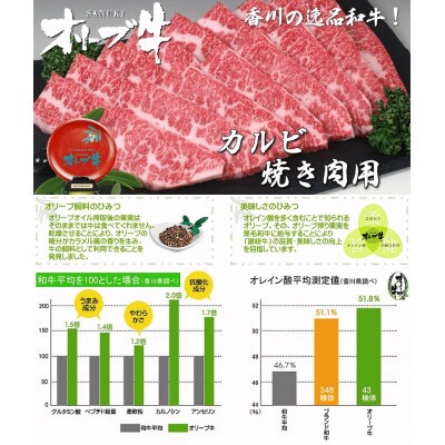 香川のプレミアム黒毛和牛オリーブ牛カルビ焼き肉用約1.5kg(約500g×3パック)