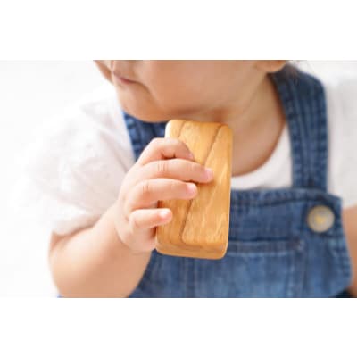 皇室ご愛用品　木のおもちゃ　赤ちゃんの積み木スペシャル