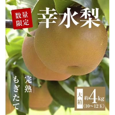 【8月より順次発送】数量限定!平和農園 幸水梨 大箱(10～12玉)<約4kg>