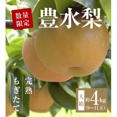 【9月より順次発送】数量限定!平和農園 豊水梨 大箱(9～11玉)<約4kg>