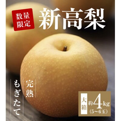 【10月より順次発送】数量限定!平和農園 新高梨 大箱(5～6玉)<約4kg>