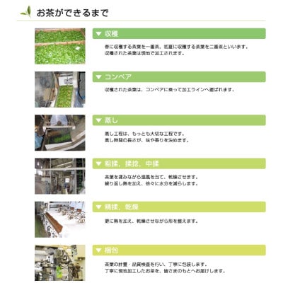 希少な香川のお茶【高瀬銘茶・高瀬(たかせ)】煎茶100g×3袋　(三-16)ご当地ブランド茶