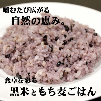 【テーブルマーク】黒米ともち麦ごはん720g×4袋(業務用・簡単調理・冷凍保存・備蓄・アレンジ自由)