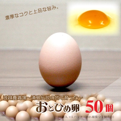 新鮮【おとひめ卵】～父母ヶ浜の夕日～たまご50個(45個+割れ補償5個)