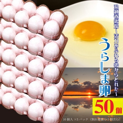 新鮮【うらしま卵】～竜宮からの贈りもの～たまご50個(45個+割れ補償5個)