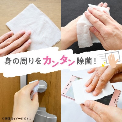 【毎月定期便】リファイン アルコール除菌 ウエットティッシュ(60枚入り×3P)×16セット全12回