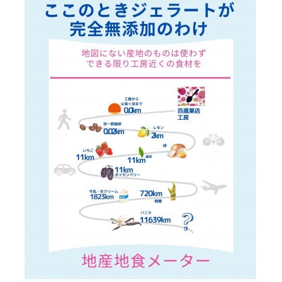 せとうち夕日の無添加アイス・ここのときジェラート6点