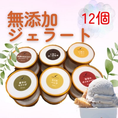 せとうち夕日の無添加アイス・ここのときジェラート12点