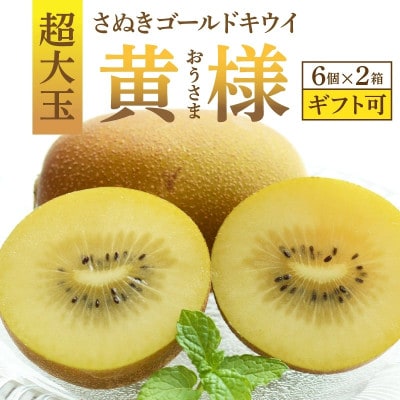 さぬきゴールドキウイ「黄様」超大玉6個入り×2箱