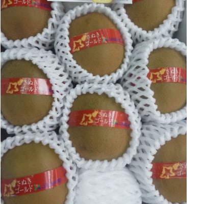 【造田商店】さぬきゴールドキウイ【黄様】7～9個入り 約1.2kg×1箱