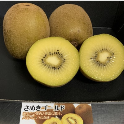 【造田商店】さぬきゴールドキウイ【黄様】7～9個入り 約1.2kg×1箱