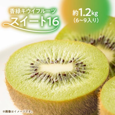 香緑キウイ 期間限定 約 1.2kg【さぬき讃フルーツ】「スイート16」
