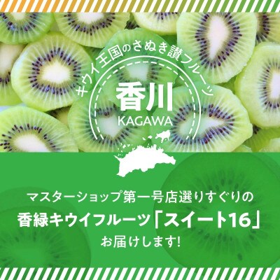 香緑キウイ 期間限定 約 1.2kg【さぬき讃フルーツ】「スイート16」