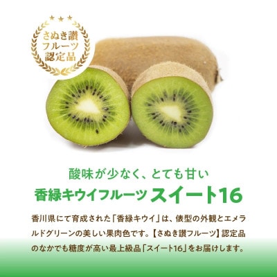 香緑キウイ 期間限定 約 1.2kg【さぬき讃フルーツ】「スイート16」