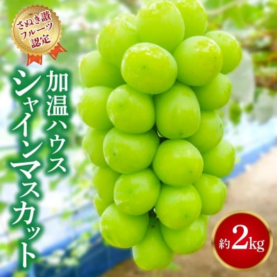 2026年7月より順次発送 【さぬき讃フルーツ認定】加温ハウス シャインマスカット 約2kg 大粒