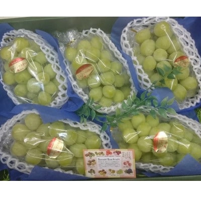 2026年7月より順次発送 【さぬき讃フルーツ認定】加温ハウス シャインマスカット 約2kg 大粒