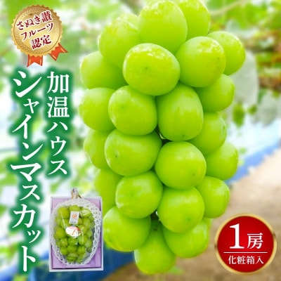 【2026年7月より順次発送】【さぬき讃フルーツ認定】加温ハウス シャインマスカット 1房 大粒