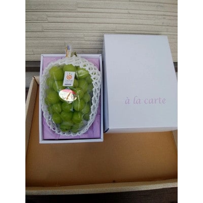 【2026年7月より順次発送】【さぬき讃フルーツ認定】加温ハウス シャインマスカット 1房 大粒