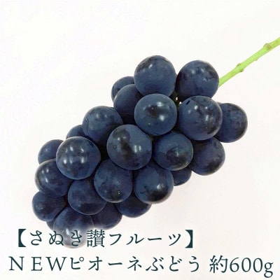 【2026年7月より順次発送】NEWピオーネぶどう 1房(約600g)