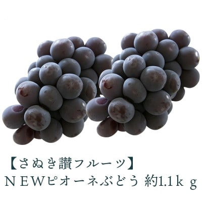 【2026年7月より順次発送】NEWピオーネぶどう 2房(約1.1kg)