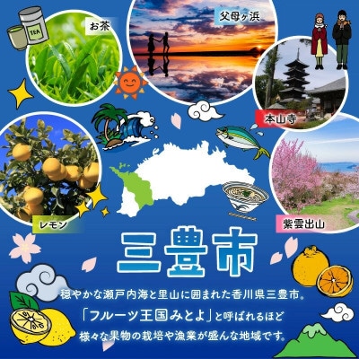 「サラダポメロ」大玉1個(約1.2kg以上)×1箱