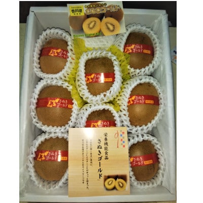 【発送月固定定期便】【さぬき讃フルーツ】造田商店　キウイ食べくらべ定期便全2回