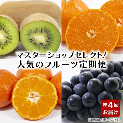 【発送月固定定期便】造田商店のセレクト定期便全4回